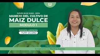 🌽 Manejo de Cultivo de Maiz 🌽 Modulo 1  WEBINAR 🔴 [upl. by Eilyak14]