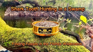 Looking for Shark Teeth in Florida  Swamp Canoeing Exploration and Fossil Hunting [upl. by Georgetta]