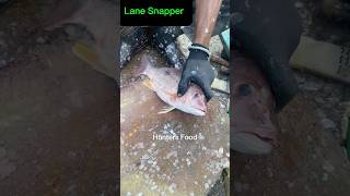 Freshest Lane Snapper Fish Cutting Skill at Karachi Fisheries Public Stall [upl. by Rola]