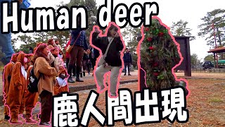 1 Bushman Prank Debut Japanese Reactions at Nara Deer Park Japanブッシュマン・ドッキリ：デビュー奈良公園 [upl. by Ettenor23]