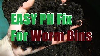 Troubleshooting PH Problems in Worm Bins [upl. by Dielle898]