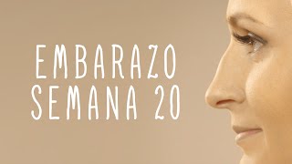 Calendario De Embarazo  Semana 20 [upl. by Blanchette]