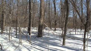 Chenango County NY High Point Panoramic View [upl. by Seuqirdor910]