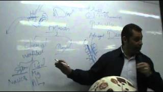 DrAhmed Abd ElRahman  GIT 2  Peptic Ulcer part 1 [upl. by Natan]