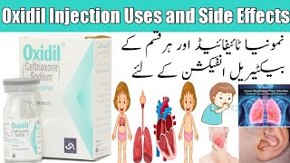 Oxidil Injection 250 mg Uses and side effects in Urdu Hindi Ceftriaxone 250 mg Injection benefits [upl. by Latoyia122]