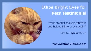 Best Eye Drops for Cat Cataracts  Testimonial Review Video [upl. by Ahsein37]