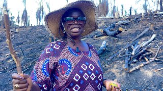 Ma Marthe la parisienne au village Kimbi ya vanga pour l’agri business  Kongo central [upl. by Kind]