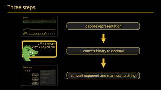 FloatingPoint to String Conversion in C Exploring Algorithms amp Performance  Cassio Neri  2024 [upl. by Scherman]