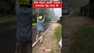 එයාලගේ සතුට 😱 automobile 1millon teamsasindu trending bus sasiyabro [upl. by Brigitta]