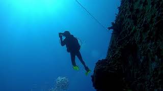 Diving the Vandenburg Key West Florida [upl. by Grobe764]