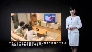 Wii U Feature Overview Japan [upl. by Cleve]