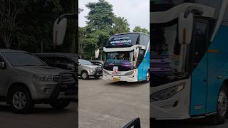 Bus asyrof quotnakulaquot basuri jeger bus busparwis busmania buspariwisata basuri asyrof shorts [upl. by Brittain]