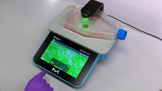 Millicell® DCI Digital Cell Imager Chapter 5  Confluency amp Cell Counting [upl. by Euginomod]