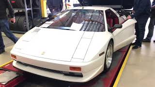 Cizeta Start Up and Revs  16 Cylinders Of Awesome [upl. by Sineray]