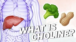 What Is CHOLINE And Can You Get it On a Vegan Diet [upl. by Svensen]