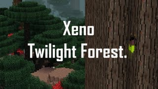 Minecraft Twilight Forest trailer [upl. by Nevai]