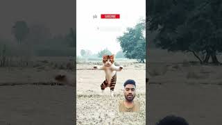 Billi ka dance comedyvideos [upl. by Nivek]