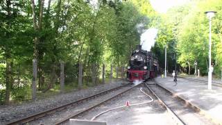 Schweizer Mallet 105 und Pfiffi 99 6101 im Selketal 125 Jahre Selketalbahn HD [upl. by Ihcelek]