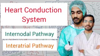 Heart Conduction System  Internodal Pathway  Interatrial Pathway [upl. by Ainiger]