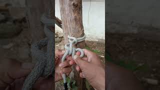 How to rope knot rope knothow shortvideo simpleknot knottutorial [upl. by Nomde]