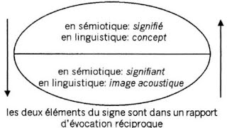 le signe linguistique avec Ferdinand de Saussure et la notion de valeur expliqué par un prof de FLE [upl. by Aivalf698]