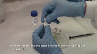 One Step Plant Tissue Lipid Extraction [upl. by Illah]