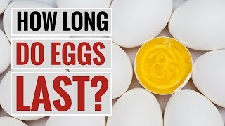 How Long Do Eggs Last Before Going Bad [upl. by Hpesoy]