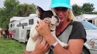 Sherry Cervi and Her Newest Family Member Stella [upl. by Hugues767]