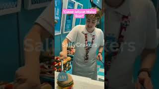 quotCutest Jellycat Waiter Everquot🤣 spongebob music jellycat saltycrakersfunny reality [upl. by Guy]