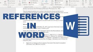 How to add references into word using google scholar and mendeley [upl. by Griffith417]