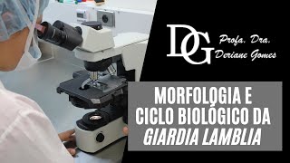 001 Morfologia e ciclo biológico da Giardia lamblia [upl. by Acireed796]