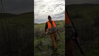 Hunting pheasants and chukars birdhunting hunters uplandhunting hunting chukarhunting hunt [upl. by Gnurt]