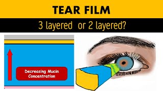 Tear Film Anatomy Biochemistry and Physiology [upl. by Nylacaj]