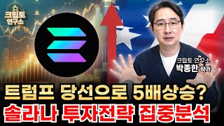 트럼프 당선으로 솔라나 ETF 승인 솔라나 집중분석ㅣ알트코인 심층분석 몰아보기 박작가의 크립토 연구소 솔라나 알트코인 [upl. by Yerahcaz]