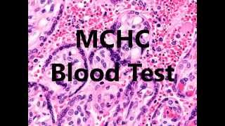 MCHC Blood Test Low High In A Complete Blood Count [upl. by Nylicaj359]