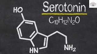 La serotonina [upl. by Airb]