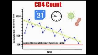 CD4 Count Explained [upl. by Malim]