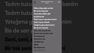 GÜLŞEN ‘DİLLERE DÜŞECEĞİZ SENİNLE’ SPEED UP ✨gülşen speedup türkçe şarkı şarkısözleri lyrics [upl. by Assetal281]