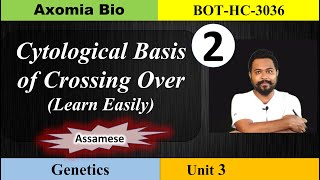 Learn Cytological basis of crossing over Bsc 3rd Sem botany Dr Rajib Borah Assamese Axomia Bio [upl. by Liebowitz]