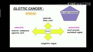 Cancer Larynx  ENT  Etiology  clinical presentation  Types  Treatment [upl. by Illib]