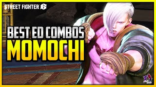 Best ED Combos  ▰ Momochi Absolutely Amazing ED  【Street Fighter 6 Season 2】 [upl. by Tertia146]