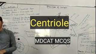 Centriolestructurecompositionpashto detail lectures [upl. by Baerl119]