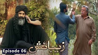 Zebaish Episode 6  English Subtitles  HUM TV Drama 17 July 2020 [upl. by Hirai]