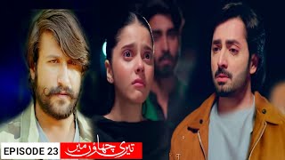 Teri Chhaon Mein Last Episode Review  Salar wadeema Tak Punch Gya Danish Taimoor  Laiba Khurram [upl. by Yankee274]