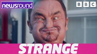 Funny faces and a real life Spiderman  Strange News  Newsround [upl. by Aittam]