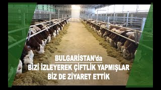 Bulgaristanda Çiftlik Ziyareti [upl. by Nwaf]