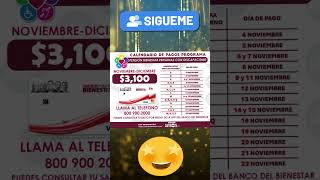 📌🩼Este es el Calendario para depósitos Beneficiarios de Pensión Bienestar Personas con Discapacidad [upl. by Jennine290]