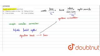 Hepatic portal system starts from [upl. by Sad354]