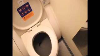 How to use the Airbus A 380800 Latrine [upl. by Irac]