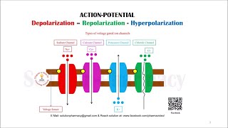 Class 451 Action Potential Depolarization Repolarization  Hyperpolarization Basic Concept [upl. by Akcirred406]